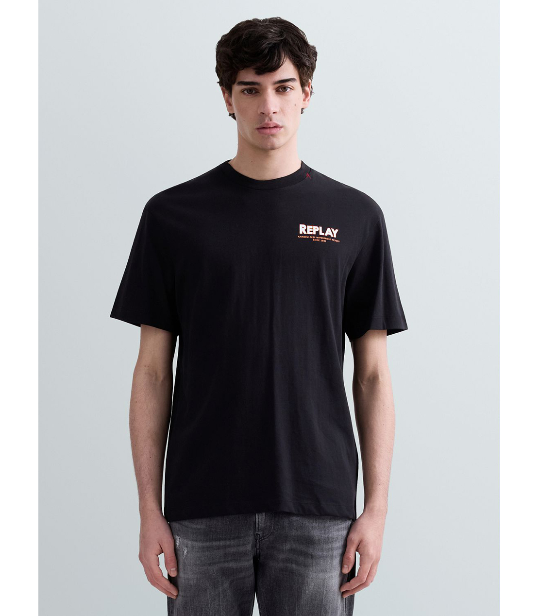 ヘビーコットンジャージーFIJI Tシャツ